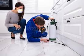 Best Residential Pest Control  in Belcourt, ND